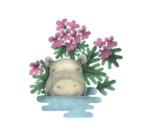 Rose Geranium Cleansing Water