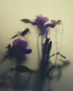 No. 335 Disir Eau de Parfum – violette Blüten auf cremigem Hintergrund, künstlerische Darstellung – Parfüm