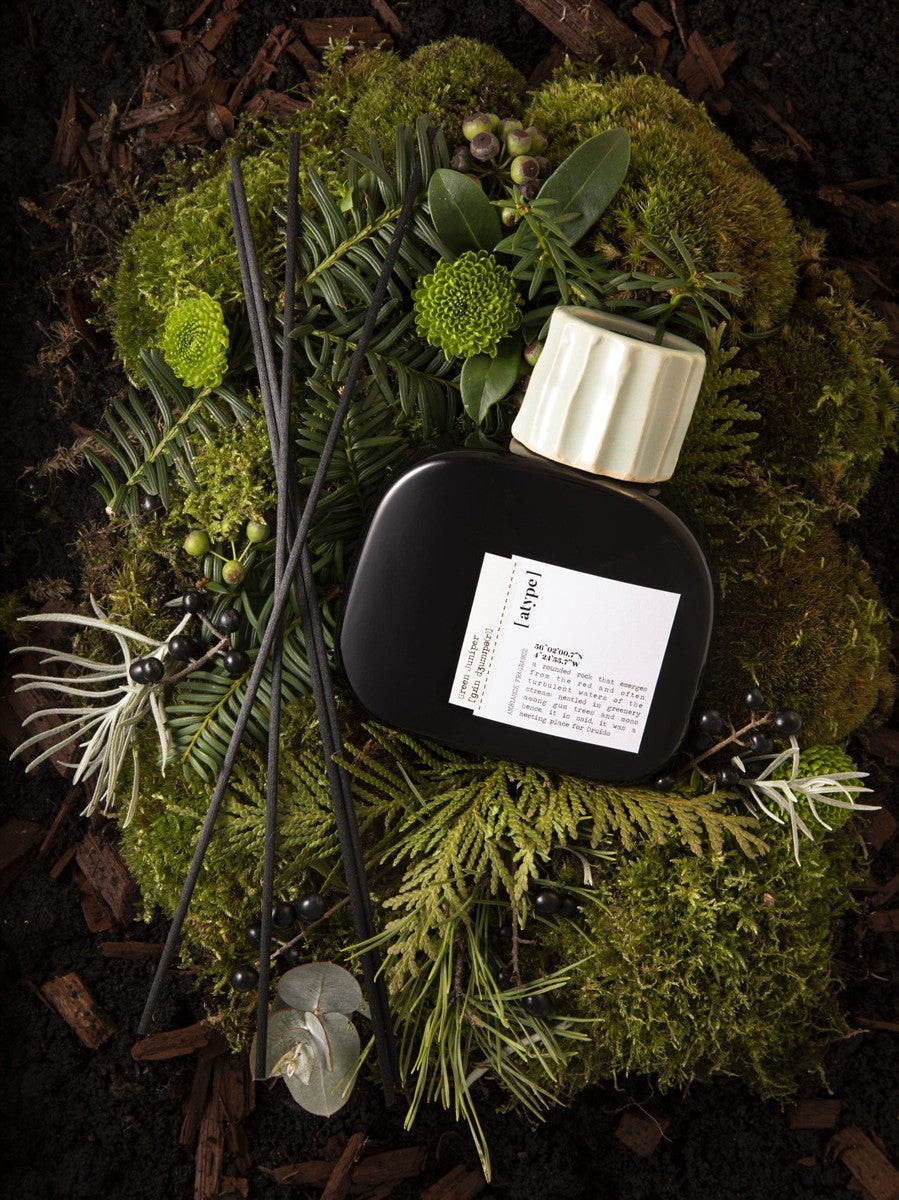 [atype] Ambiance Green Juniper Room Fragrance 250ml – black bottle with cream cap, moss background – room fragrance