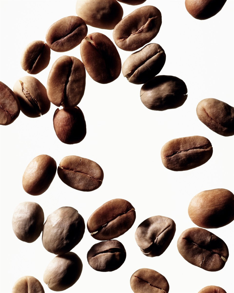 Kein Produktbild – Kaffeebohnen auf weißem Hintergrund – Hautpflege