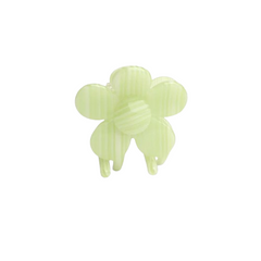 Bloomie Pistaccio