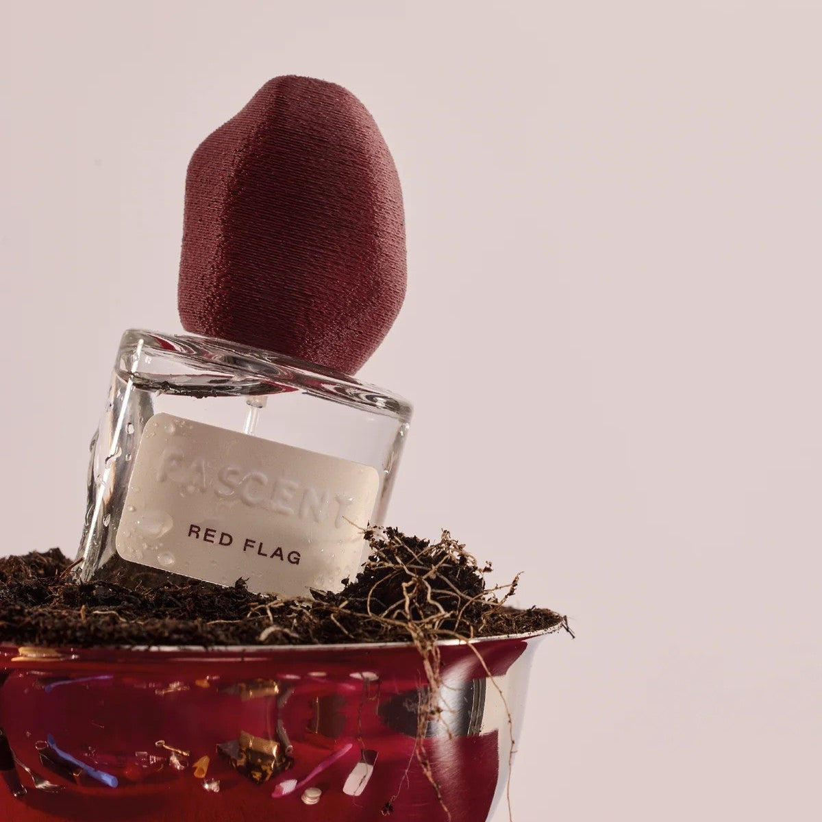 Pascent Red Flag Eau de Parfum – klares Glasflakon mit bordeauxrotem Stoffverschluss, in roter Schale mit Erde – Parfüm