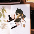 The Witchery Co. Hazelnut Face Oil in einer braunen Glasflasche mit Pipette auf weißem Hintergrund, Hautpflege.