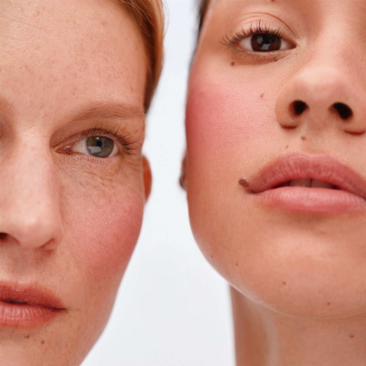 Soft Focus Blurring Blush – sanfter Rosaton auf Wangen, weißer Hintergrund – Gesichts Make-up