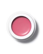 Farbfeld Dianthus – rosé, warm