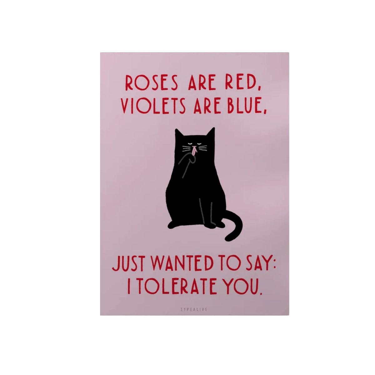 Postkarte Roses Rosa Postkarte mit schwarzer Katze und dem Text „Roses are red, Violets are blue, just wanted to say: I tolerate you.“