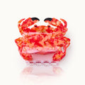 Haarklammer Krabbe in red-orange marbled finish on white background, hair accessory